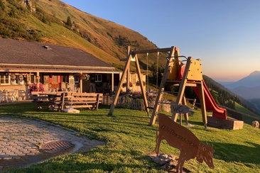 Alp Findels (oua_611519997_image)