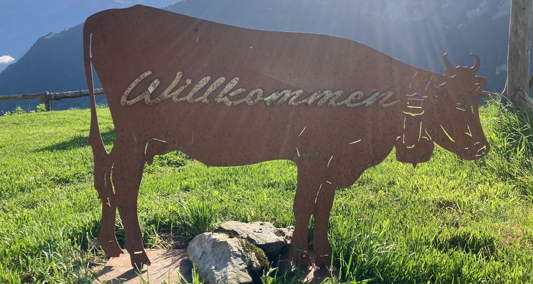 Alp Findels (oua_611519998_image)