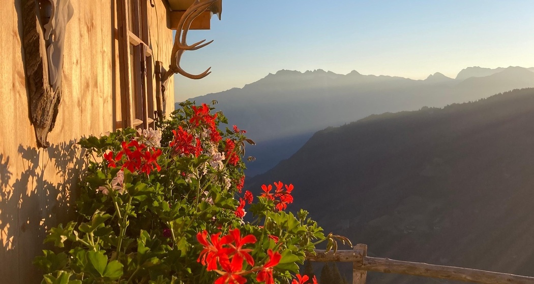 Alp Findels (oua_611520000_image)