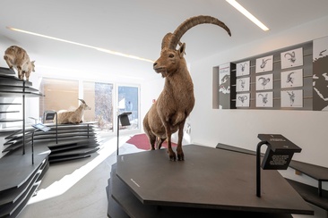 Capricorn exhibition (oua_611520068_image)