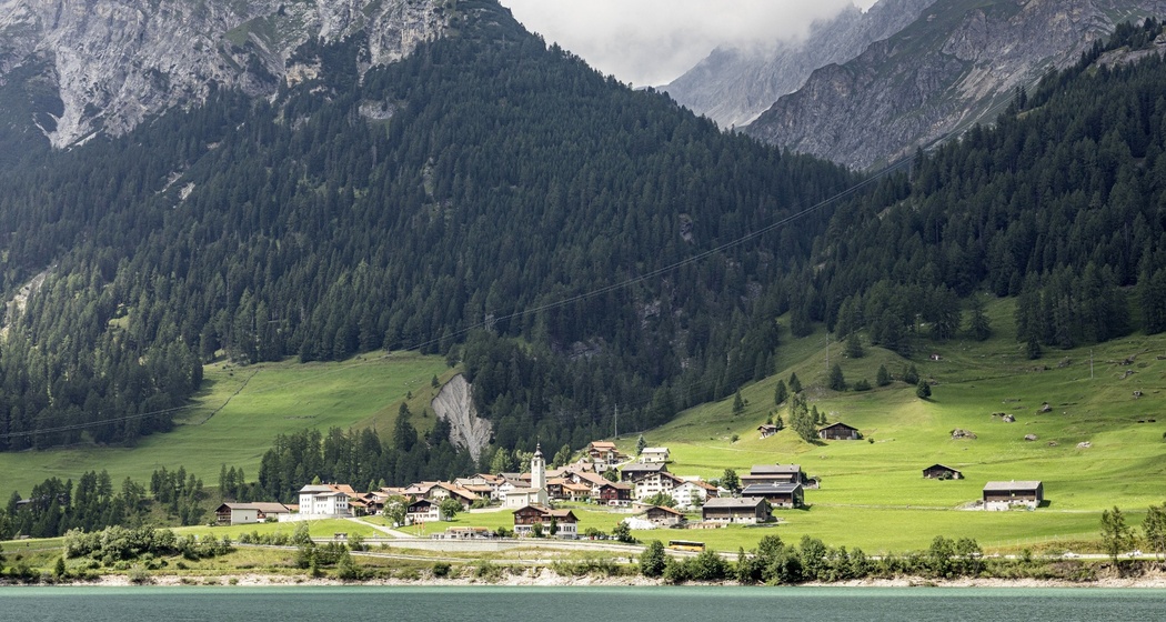 Sufers (oua_611520099_image)