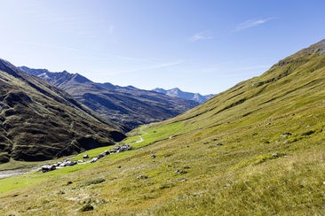 Avers (oua_611520105_image)