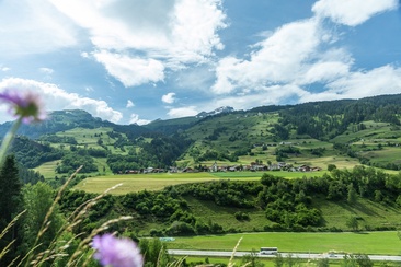 Donat (oua_611520111_image)