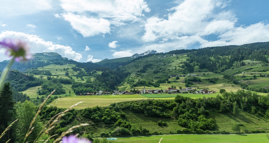 Donat (oua_611520111_image)