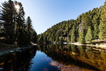 Lai Ner (oua_611520123_image)