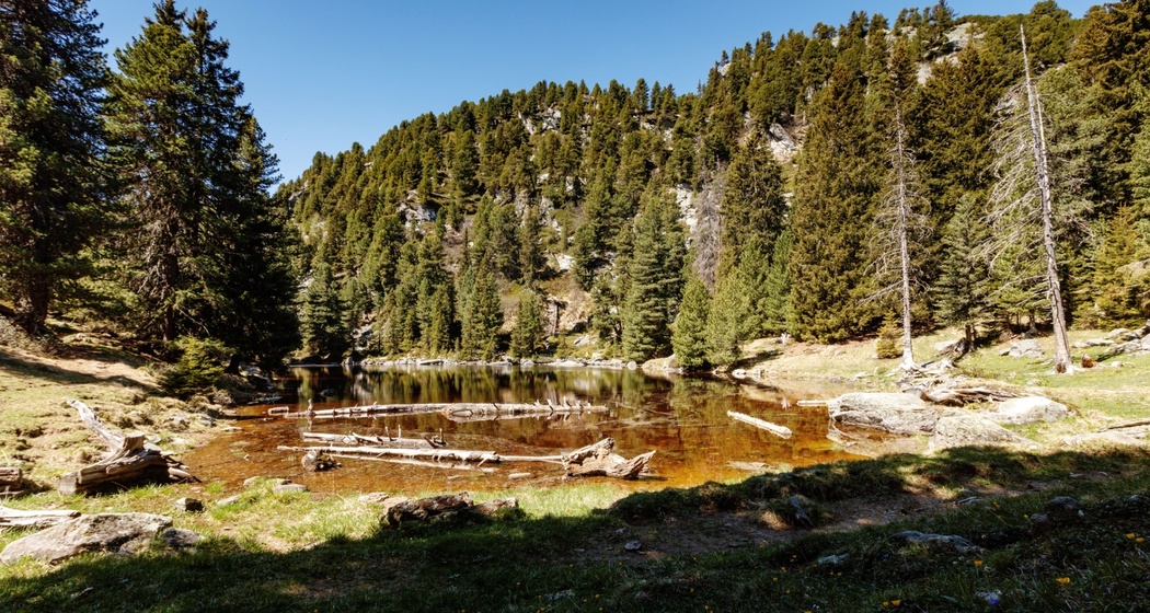 Lai Ner (oua_611520124_image)