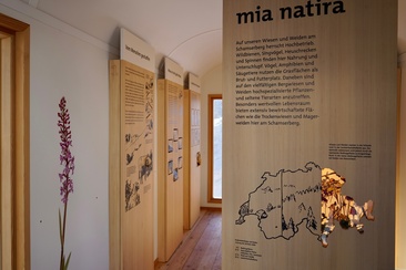 Ausstellung «mia natira - Wiesen und Weiden am Schamserberg» (oua_611520165_image)