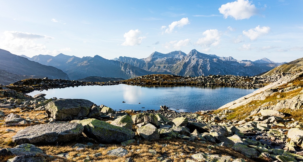 Bergseeli Splügenpass (oua_611520167_image)