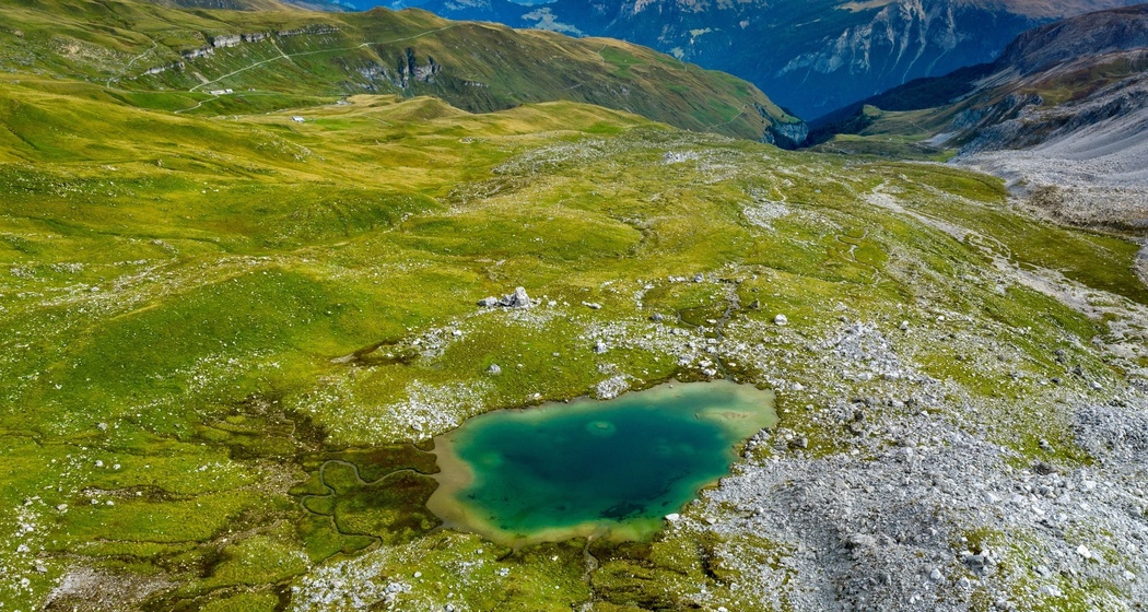 Lai Grand und Moorlandschaft (oua_611520182_image)