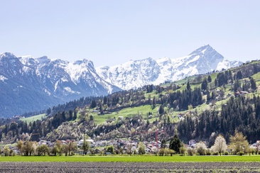 Cazis (oua_611520187_image)