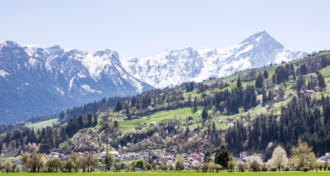 Cazis (oua_611520187_image)