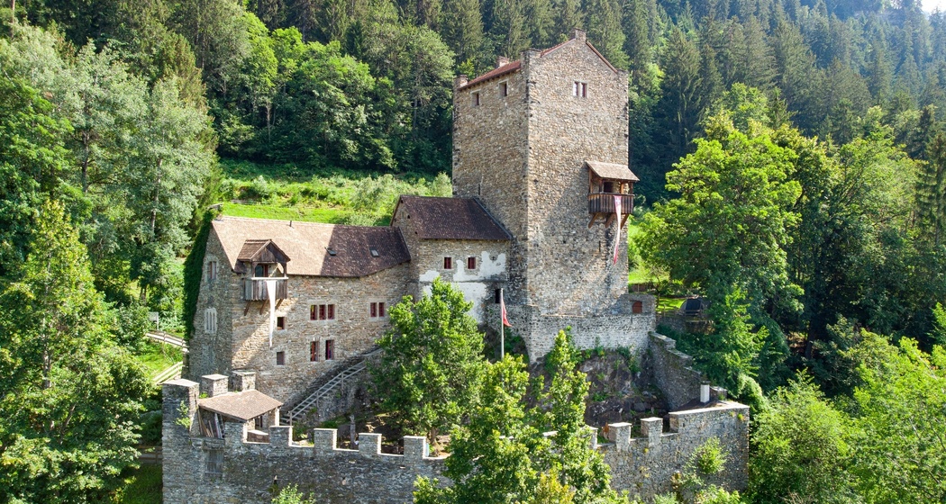 Burg Ehrenfels (oua_611520299_image)