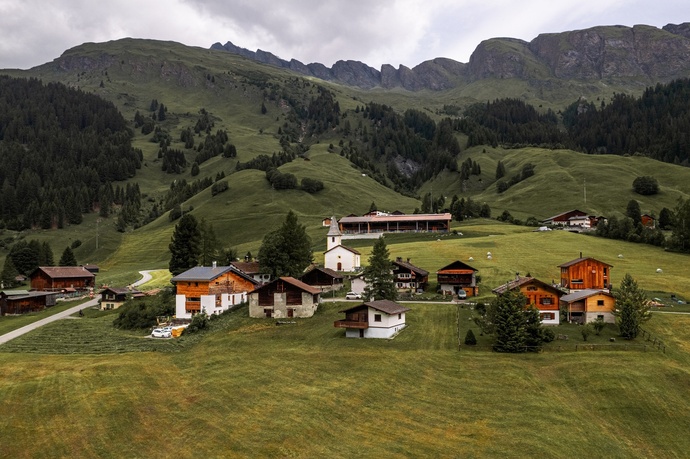 Medels dans la forêt rhénane (oua_611520335_image)