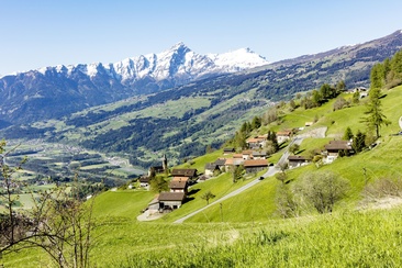 Scheid (oua_611520369_image)