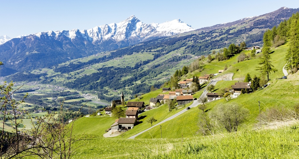 Scheid (oua_611520369_image)