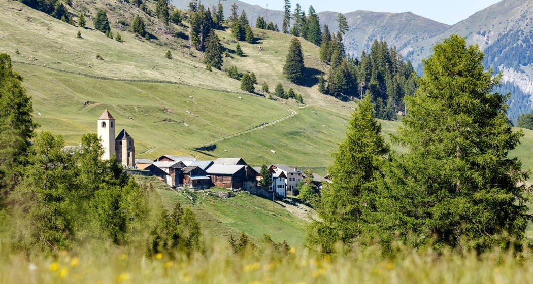 Lohn (oua_611520377_image)