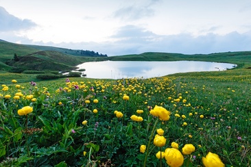 Lake Libi (oua_611520387_image)
