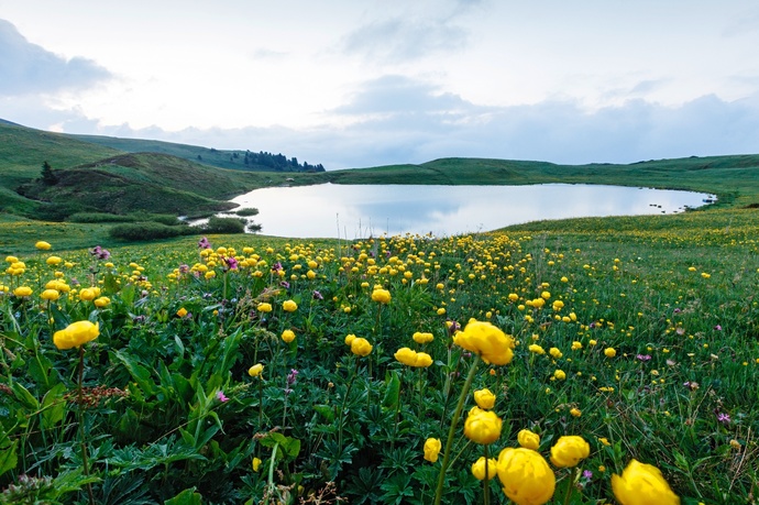 Libi (oua_611520387_image)