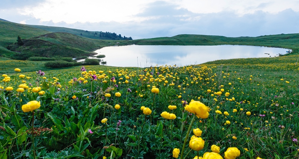 Libi (oua_611520387_image)