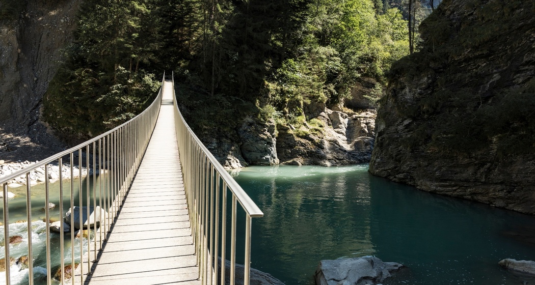 Pùnt da Suransuns (oua_611520403_image)