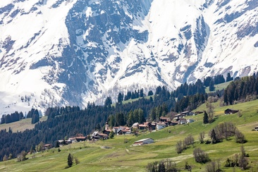 Sarn (oua_611520407_image)