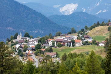 Feldis (oua_611520421_image)