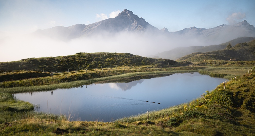 Bischolsee (oua_611520462_image)
