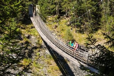 Traversiner bridge (oua_611520474_image)