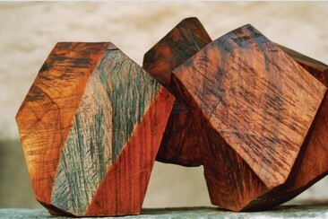 Exposition s-cultura.ch (oua_611520485_image)