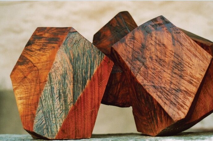 Exposition s-cultura.ch (oua_611520485_image)