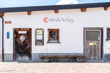 Stizunetta Feldis (oua_611520487_image)