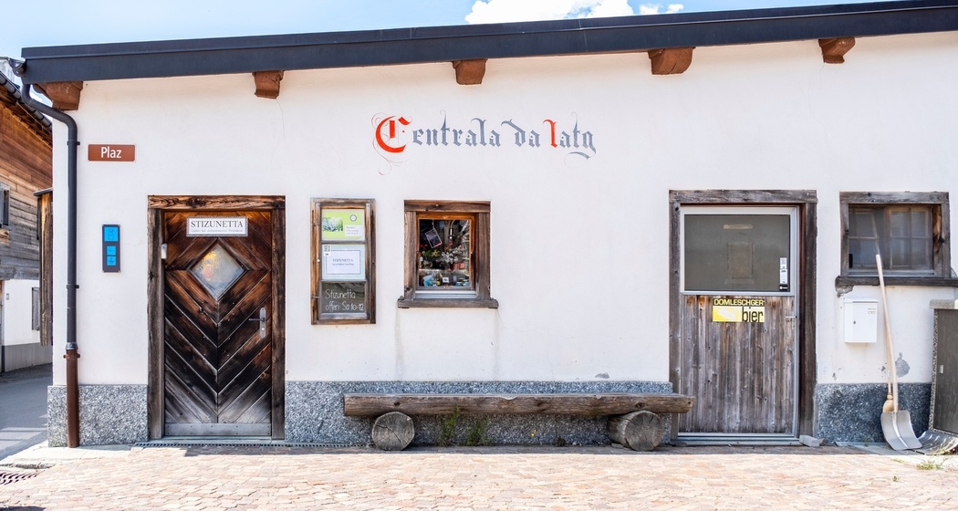 Stizunetta Feldis (oua_611520487_image)