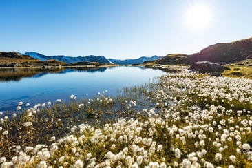 Flüeseen (oua_611520511_image)