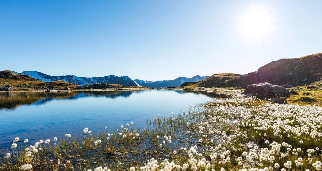 Flüeseen (oua_611520511_image)