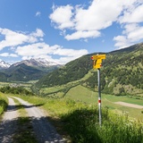 Sentiero tematico degli orsi 'senda da l'uors' nei pressi di Fuldera (oua_611525988_image)