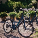 E-bike al castello Salenegg