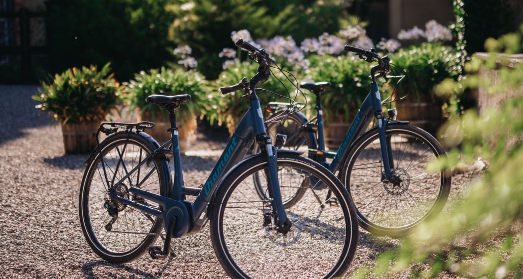 E-Bikes am Schloss Salenegg