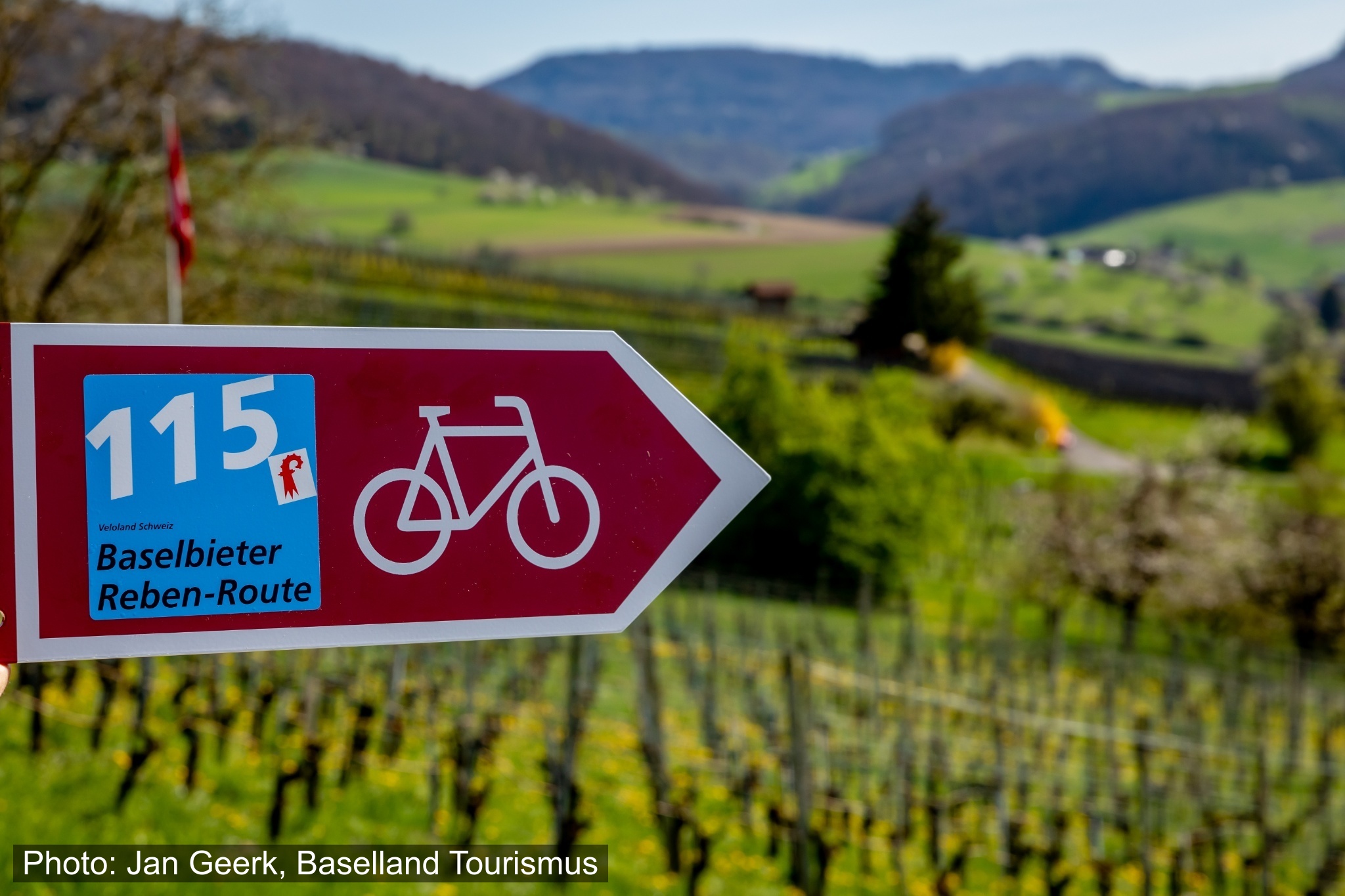 E-Bike 115 Baselbieter Reben-Route