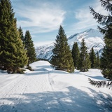 Furestin-Schneeschuhweg