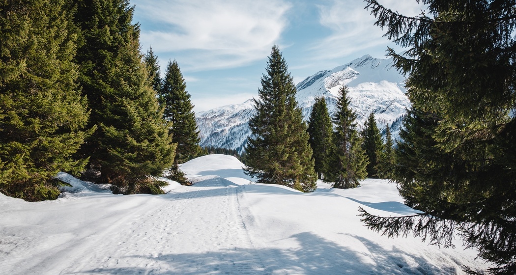 Furestin-Schneeschuhweg