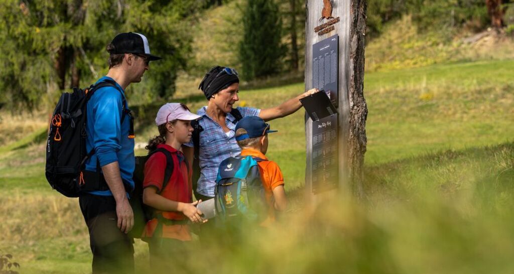 Steinbock-Promenade (oua_612532402_image)