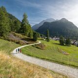 Steinbock-Promenade (oua_612532403_image)