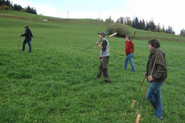 Mazza Cula (oua_612633512_image)