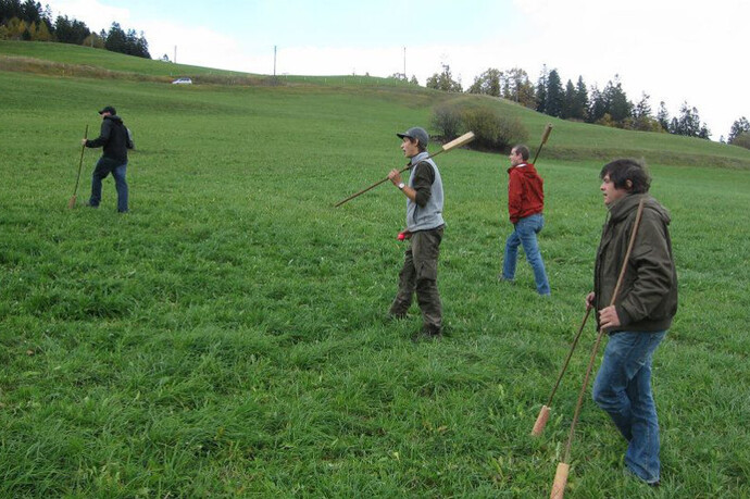 Mazza Cula (oua_612633512_image)