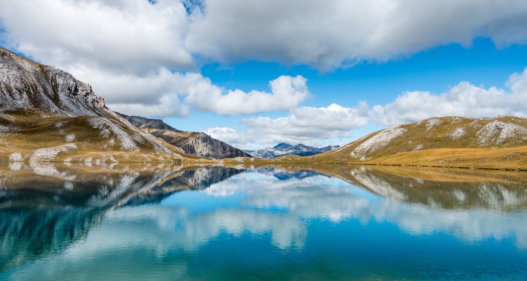 Lai da Rims (oua_612638886_image)