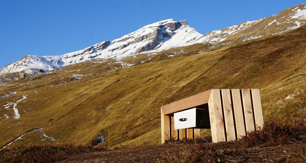 Beobachtungsbank Libi (oua_612644235_image)