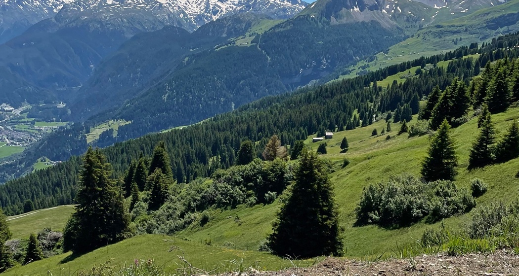 Beobachtungsbank Summapunt (oua_612644241_image)