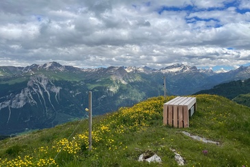 Beobachtungsbank Alp digl Oberst (oua_612644260_image)