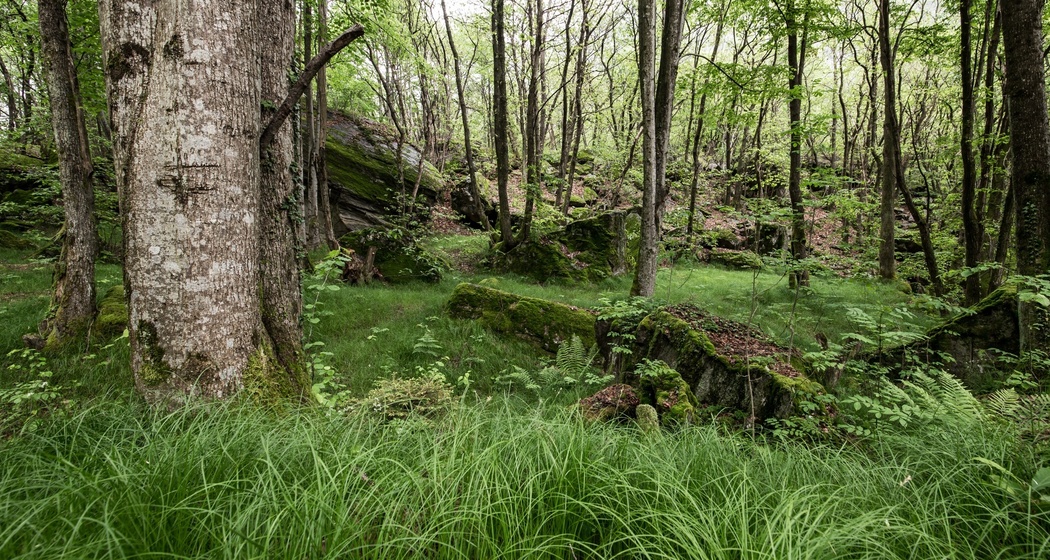 Castello di Norantola