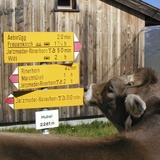 Esperienze al vertice - Hubel (oua_614369818_image)